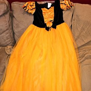 Girls size large costume dress.